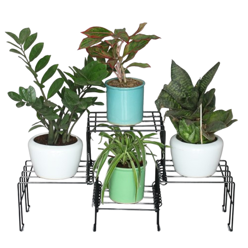Black Moso Plus plant stand for 4 pots