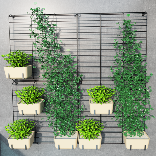 Black Grellis Grid Wall Mounted Plant stand (Set of 4)