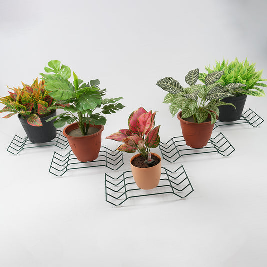 Green Cocos plant stand for 5 pots