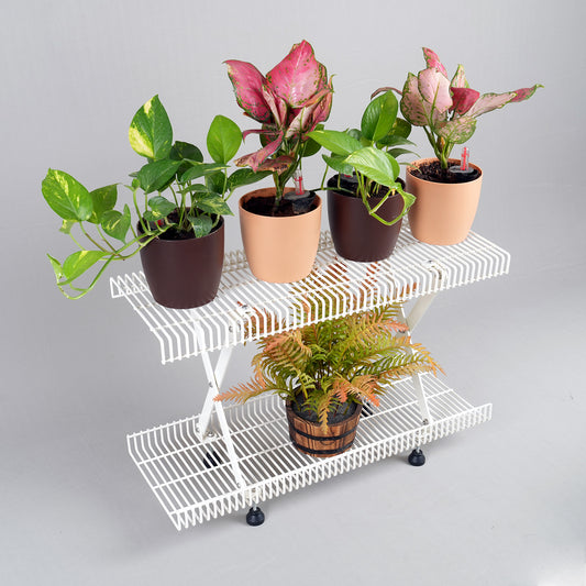 White MarMelos 2 tier rack