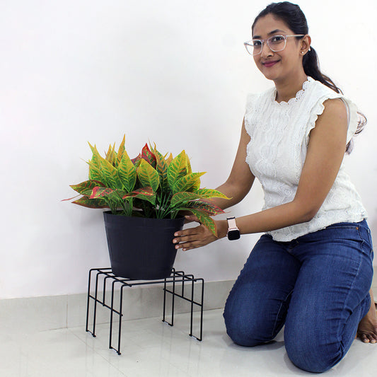 Black Moso plant stand