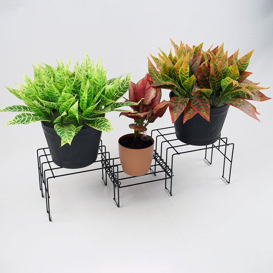 Black Moso plant stand for 3 pots