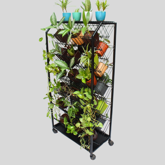 Black Greenest Multiple Tiered Two Sided Plant Stand