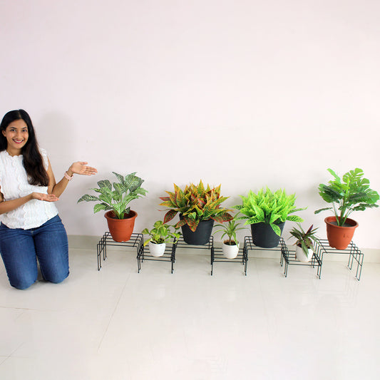 Black Moso plant stand for 7 pots