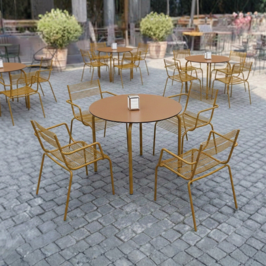 Aaria Arm chair for dining in Honey yellow colour