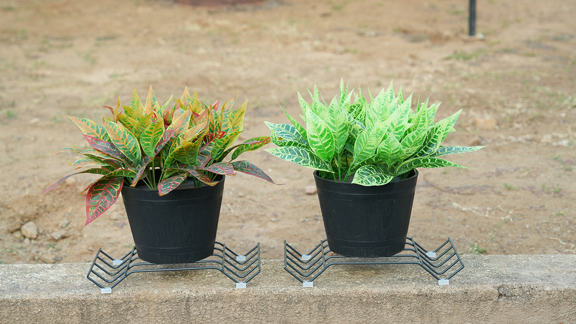 Yellow Cocos plant stand for 5 pots