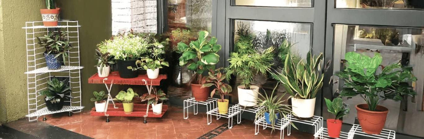 Most Selling Product
