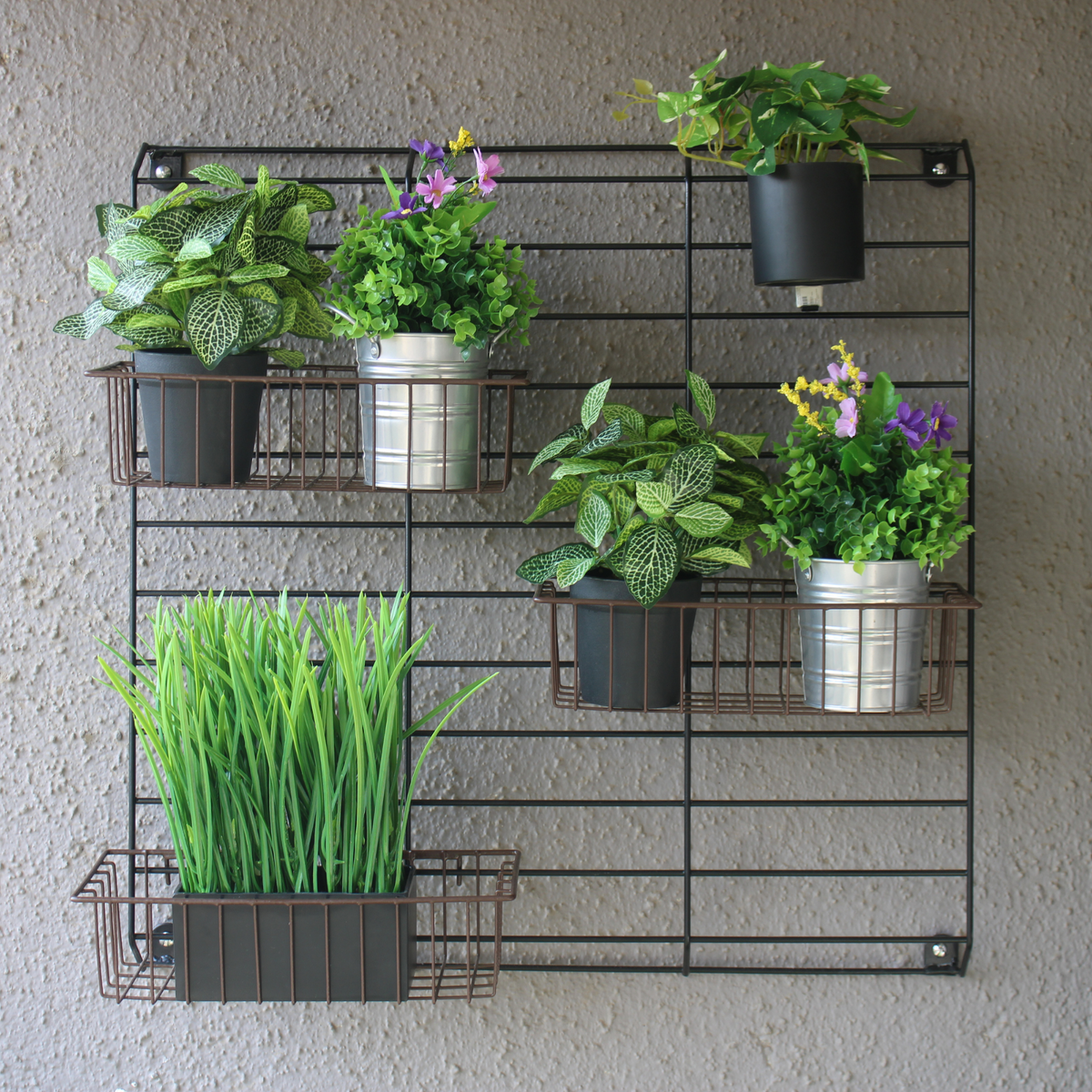 Black Grellis Grid Wall Mounted Plant stand (Set of 1)