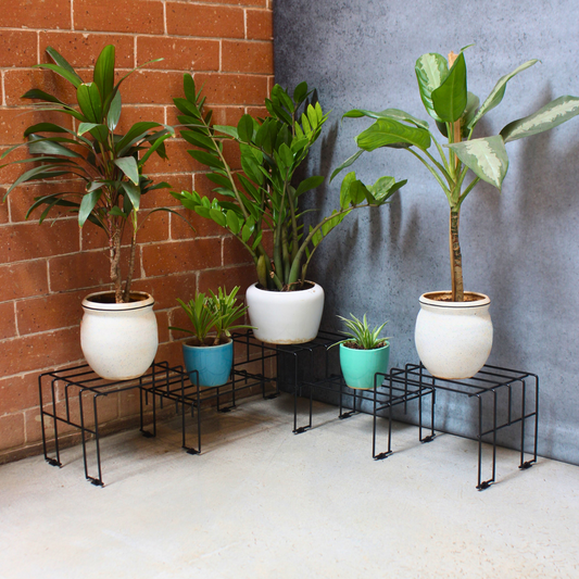 Black Moso Corner plant stand for 5 pots (Copy)
