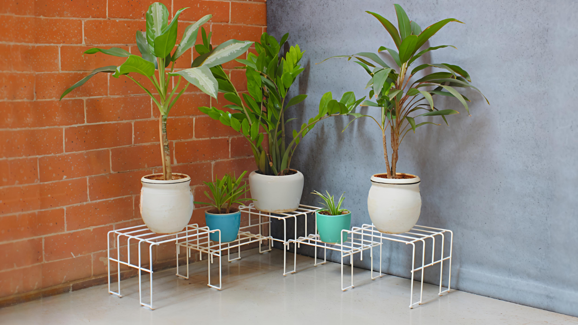 White Moso Corner plant stand for 5 pots