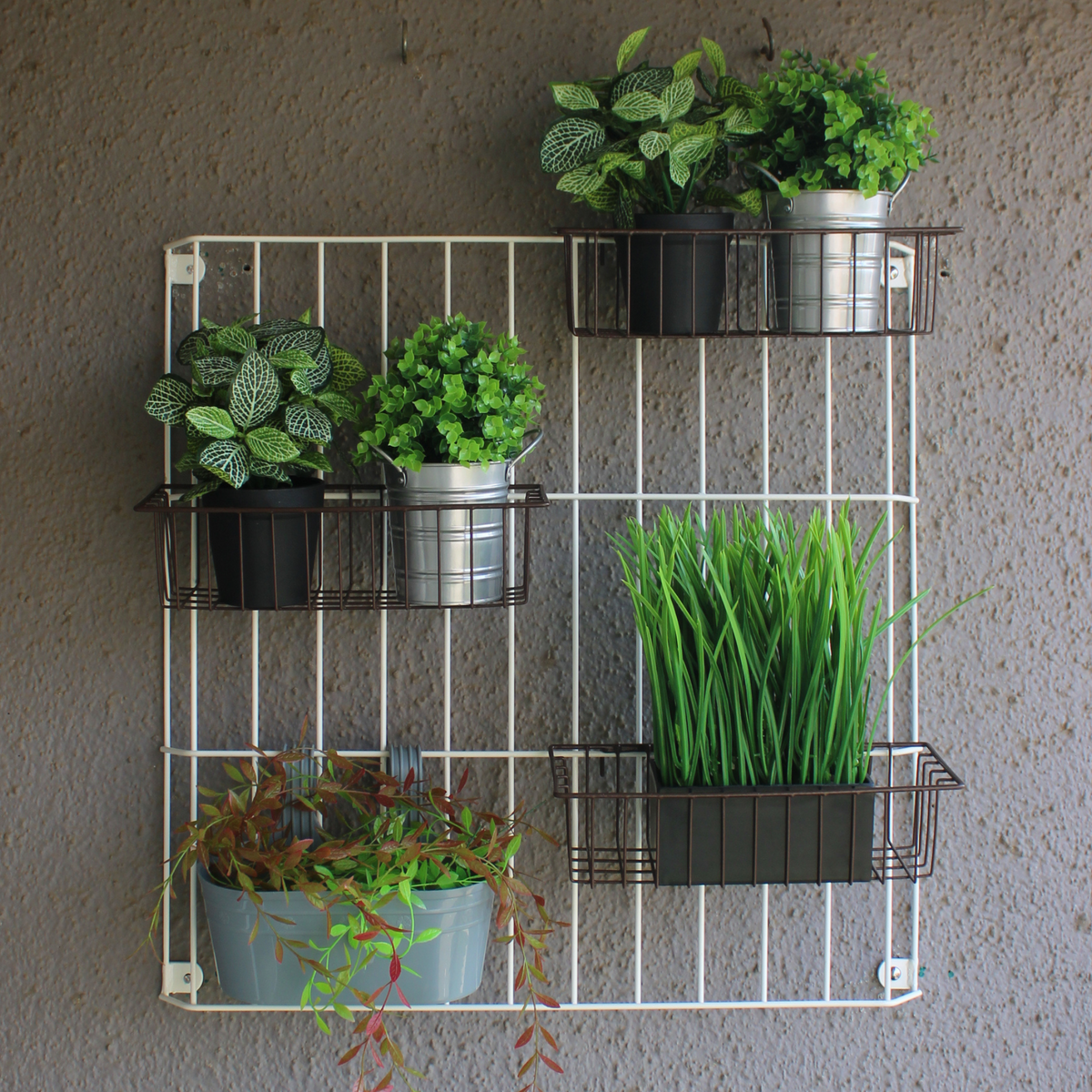 White Grellis Grid Wall Mounted Plant stand (Set of 1)