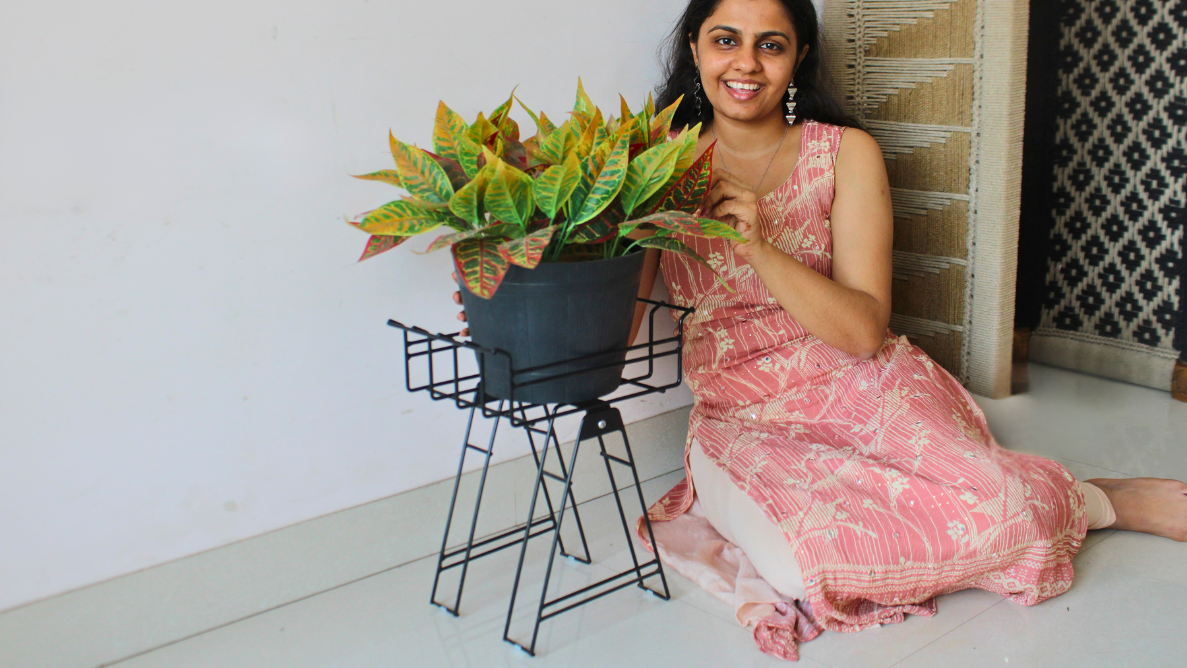 Black Nelumbo Plant stand
