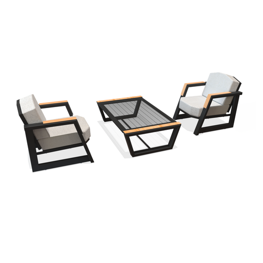 Frame Series Sofa Set - 2 single seater Sofa | Center table