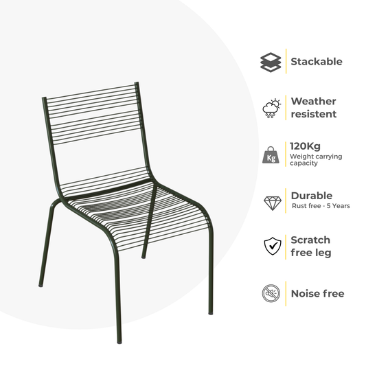 Aaria chair for dining in Olive green colour