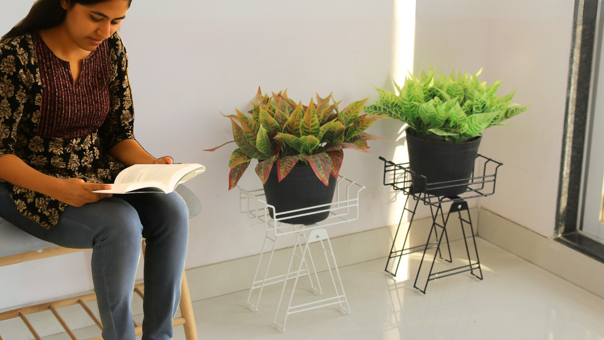 Black Nelumbo Plant stand