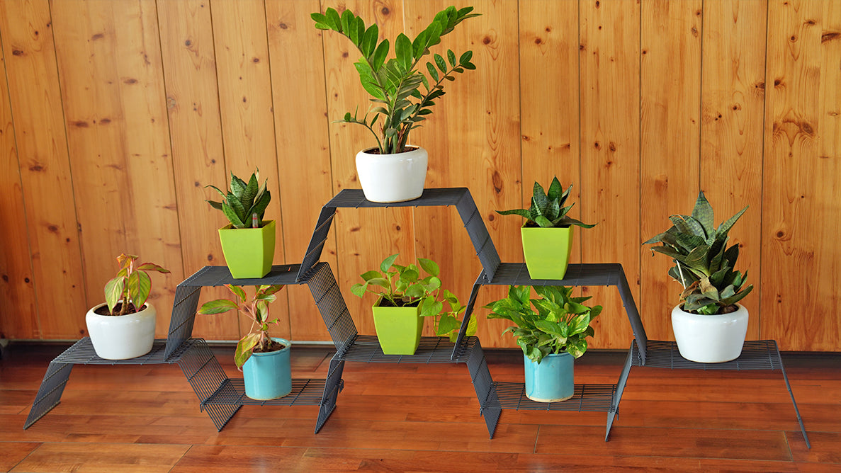 Grey Grandis Large plant stand for 8 pots