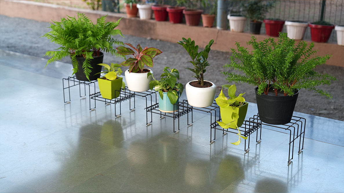 Black Moso Plus plant stand for 8 pots