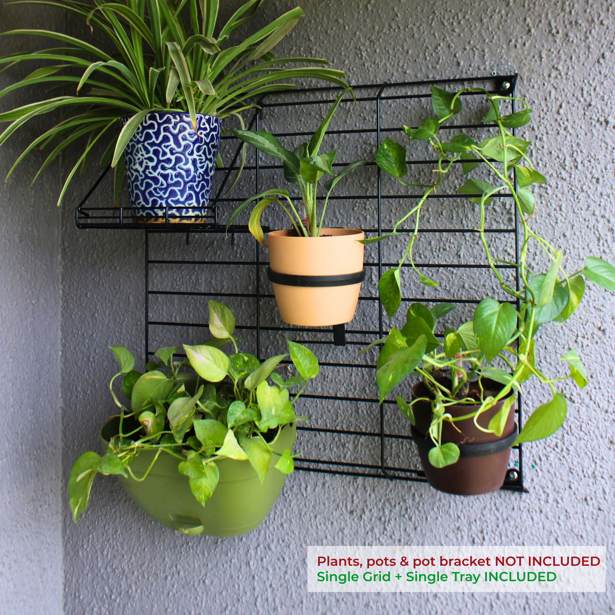 plant hanging grid Black Grellis Grid Wall Mounted Plant stand (Set of 1) – Meshable