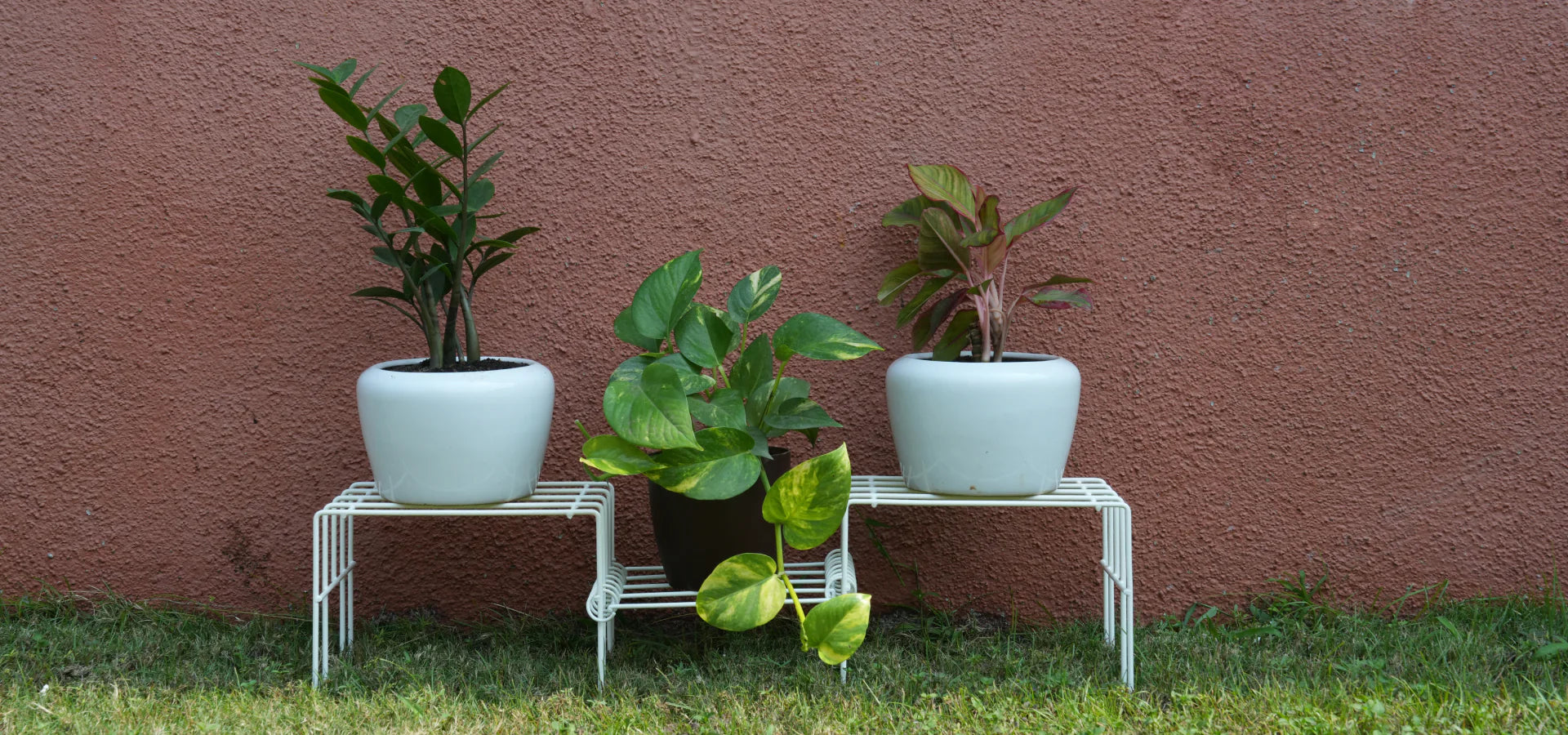 White Moso Plus plant stand for 8 pots