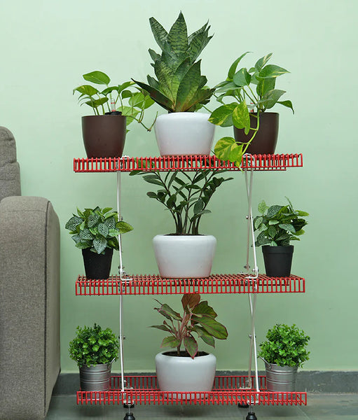 Our signature Indoor collection